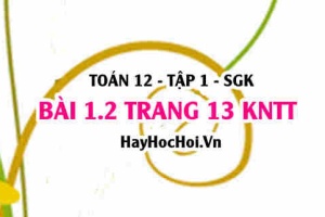 Bài 1.2 trang 13 Toán 12 tập 1 Kết nối tri thức